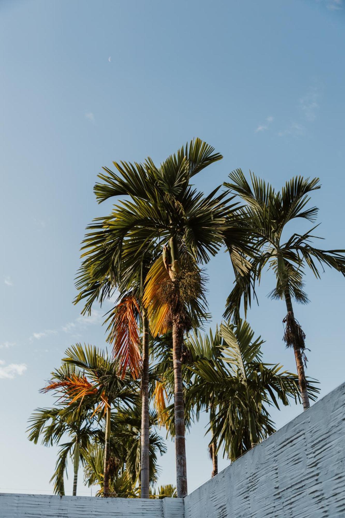 Arun Dara Villa Chiang Mai Luaran gambar
